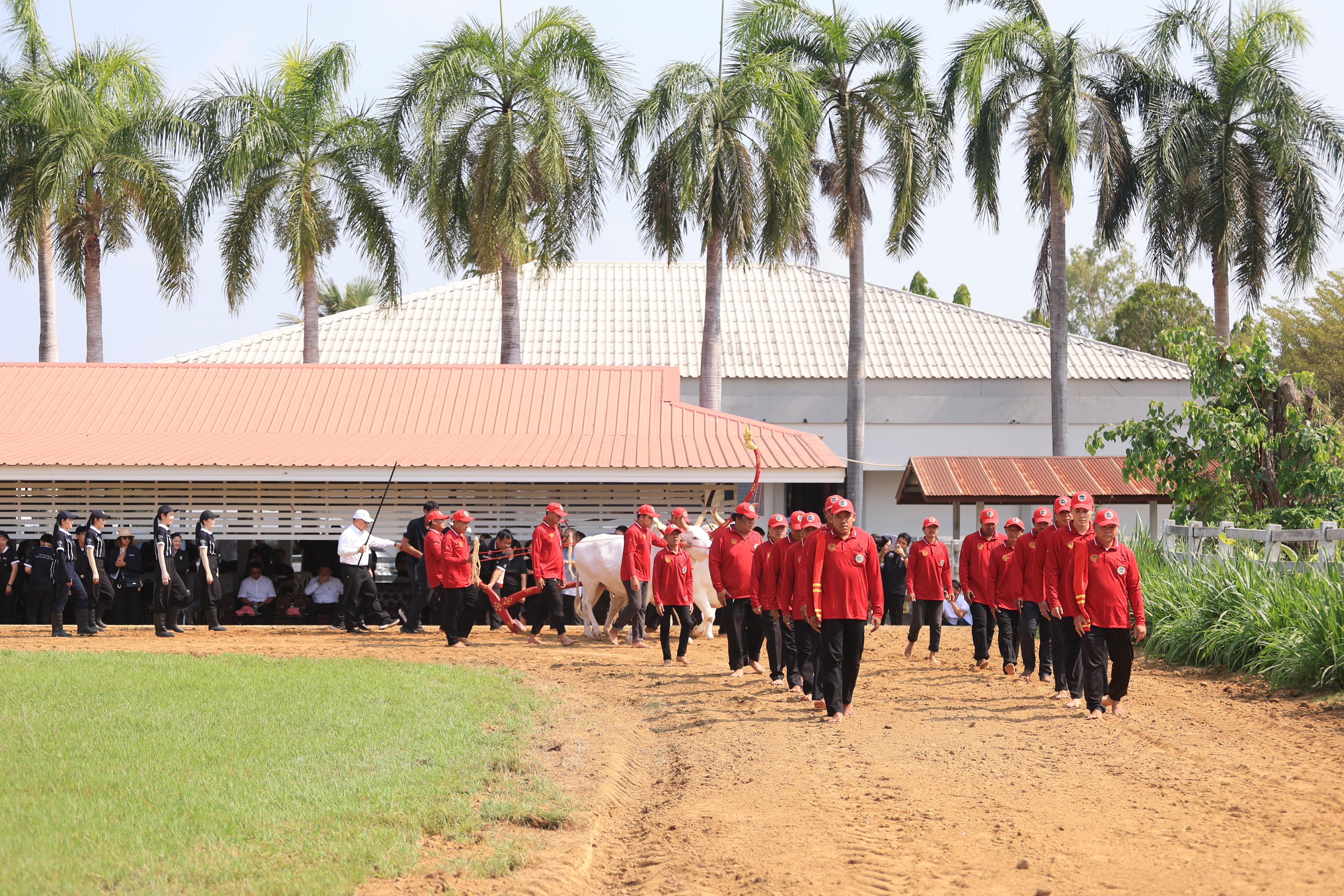 title - ส.ป.ก. เข้าร่วมการตรวจเยี่ยมการจัดเตรียมพระโค ในงานพระราชพิธีพืชมงคลจรดพระนังคัลแรกนาขวัญ ประจำปี 2569